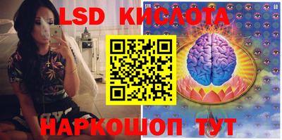 гидра Малоярославец