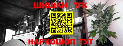 тгк Можга